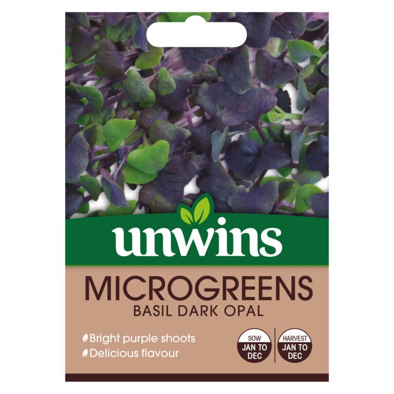 5051618030540 1 Microgreens Basil Dark Opal Seeds.jpg